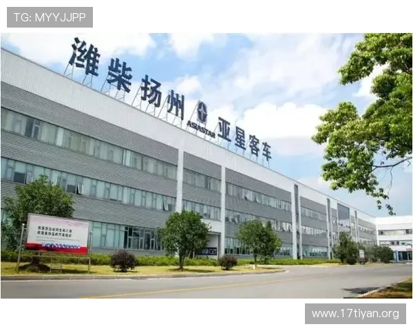 亚星公司怎么样？从财务状况和客户服务角度为你提供全面参考